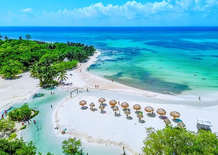 Quiet Mornings, 1br 2br Duplex, 2 Blue Flag Beaches 15 Min Walk, Free Entry, Sleeps 2-8, Full Induction Kitchen Wifi Ac Free Bikes, Markets & Minibus 10 Min, 5th Ave & Cenotes 20 Min, Ado Bus 30 Min, Free Street Parking * Playa del Carmen