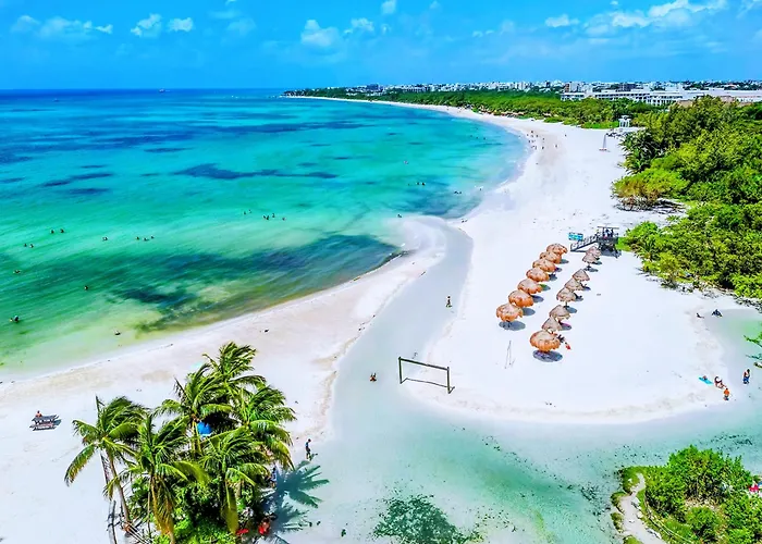 Quiet 1Br 2Br Duplex, 2 Blue Flag Beaches 15 Min Walk, Sleeps 2-8, Full Induction Kitchen Wifi Ac Free Bikes, Market & Minibus 10 Min, 5Th Ave 20 Min, Dozens Of Cenotes 20 Min, Ado Bus 30 Min, Cozumel Ferry 40 Min, Free Street Parking * Playa del Carmen