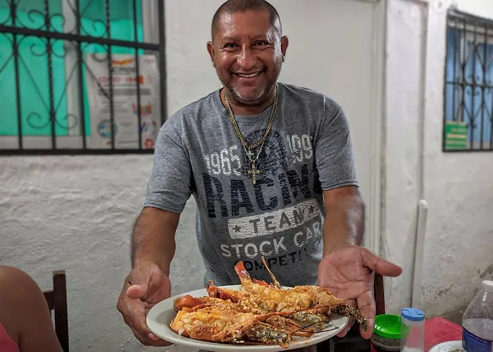 Quiet 1Br 2Br Duplex, 2 Blue Flag Beaches 15 Min Walk, Sleeps 2-8, Full Induction Kitchen Wifi Ac Free Bikes, Market & Minibus 10 Min, 5Th Ave 20 Min, Dozens Of Cenotes 20 Min, Ado Bus 30 Min, Cozumel Ferry 40 Min, Free Street Parking *