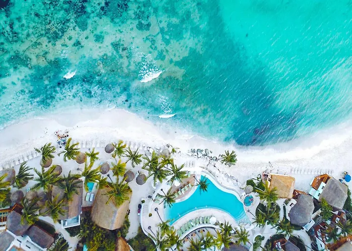 Quiet 1Br 2Br Duplex, 2 Blue Flag Beaches 15 Min Walk, Sleeps 2-8, Full Induction Kitchen Wifi Ac Free Bikes, Market & Minibus 10 Min, 5Th Ave 20 Min, Dozens Of Cenotes 20 Min, Ado Bus 30 Min, Cozumel Ferry 40 Min, Free Street Parking * Playa del Carmen
