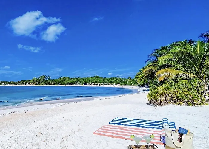 Quiet Mornings, 1br 2br Duplex, 2 Blue Flag Beaches 15 Min Walk, Free Entry, Sleeps 2-8, Full Induction Kitchen Wifi Ac Free Bikes, Markets & Minibus 10 Min, 5th Ave & Cenotes 20 Min, Ado Bus 30 Min, Free Street Parking Apartamento *