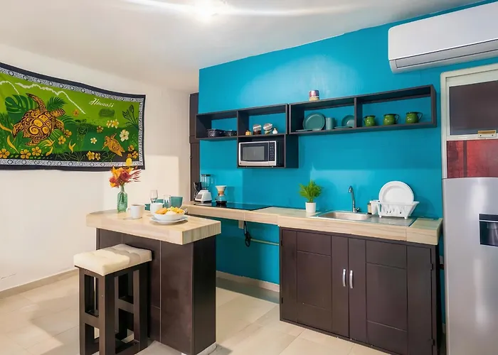 Quiet 1Br 2Br Duplex, 2 Blue Flag Beaches 15 Min Walk, Sleeps 2-8, Full Induction Kitchen Wifi Ac Free Bikes, Market & Minibus 10 Min, 5Th Ave 20 Min, Dozens Of Cenotes 20 Min, Ado Bus 30 Min, Cozumel Ferry 40 Min, Free Street Parking * Playa del Carmen
