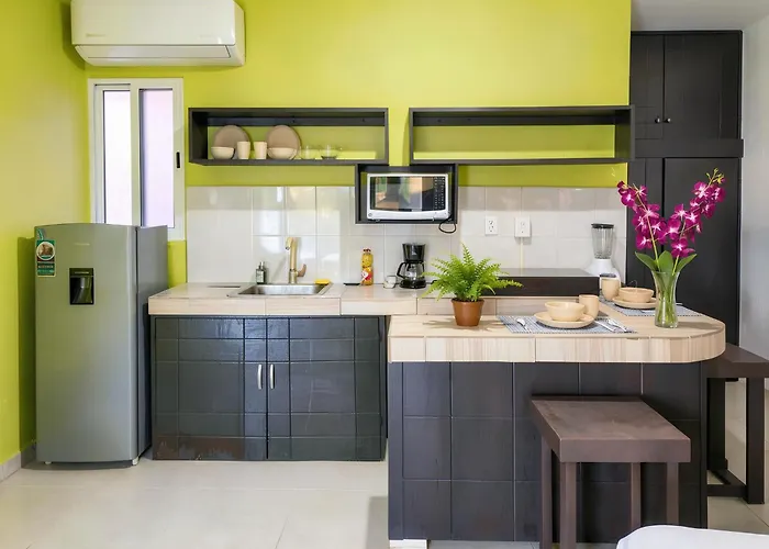 Apartamento Quiet Mornings, 1br 2br Duplex, 2 Blue Flag Beaches 15 Min Walk, Free Entry, Sleeps 2-8, Full Induction Kitchen Wifi Ac Free Bikes, Markets & Minibus 10 Min, 5th Ave & Cenotes 20 Min, Ado Bus 30 Min, Free Street Parking