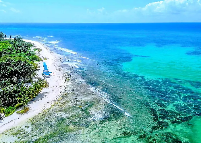 Quiet 1Br 2Br Duplex, 2 Blue Flag Beaches 15 Min Walk, Sleeps 2-8, Full Induction Kitchen Wifi Ac Free Bikes, Market & Minibus 10 Min, 5Th Ave 20 Min, Dozens Of Cenotes 20 Min, Ado Bus 30 Min, Cozumel Ferry 40 Min, Free Street Parking *