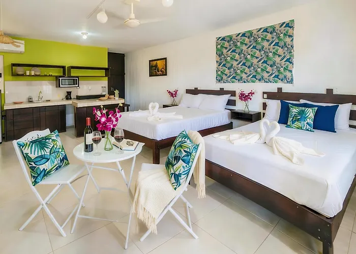 Quiet Mornings, 1br 2br Duplex, 2 Blue Flag Beaches 15 Min Walk, Free Entry, Sleeps 2-8, Full Induction Kitchen Wifi Ac Free Bikes, Markets & Minibus 10 Min, 5th Ave & Cenotes 20 Min, Ado Bus 30 Min, Free Street Parking *