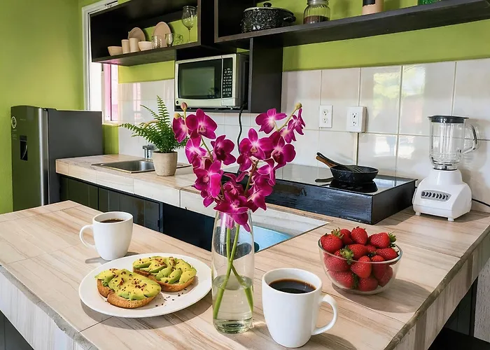 Quiet 1Br 2Br Duplex, 2 Blue Flag Beaches 15 Min Walk, Sleeps 2-8, Full Induction Kitchen Wifi Ac Free Bikes, Market & Minibus 10 Min, 5Th Ave 20 Min, Dozens Of Cenotes 20 Min, Ado Bus 30 Min, Cozumel Ferry 40 Min, Free Street Parking * Playa del Carmen